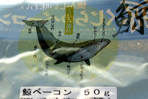baleine-kuing-1.jpg